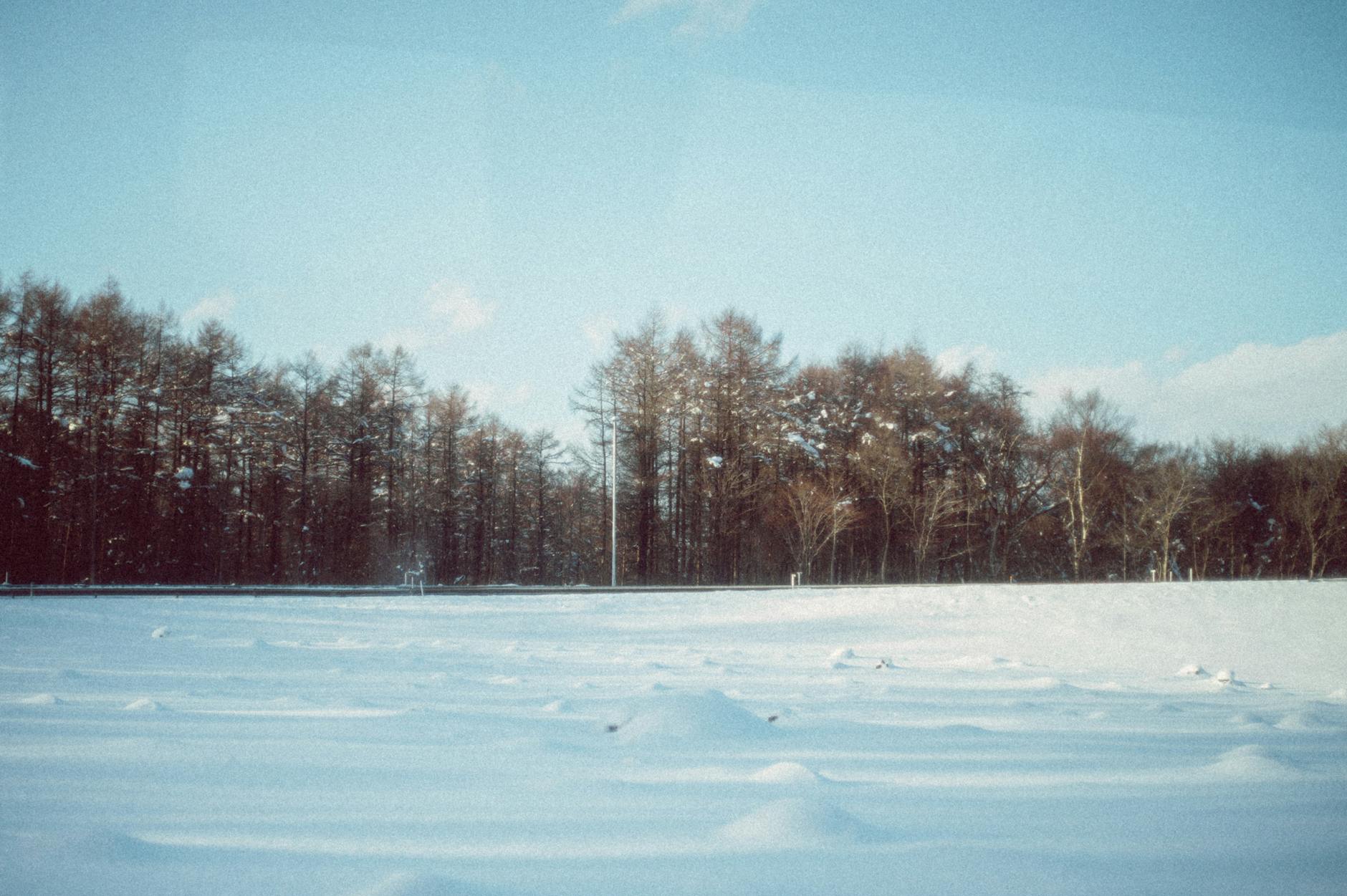 Ośnieżone pole i cichy las zimą na Hokkaido