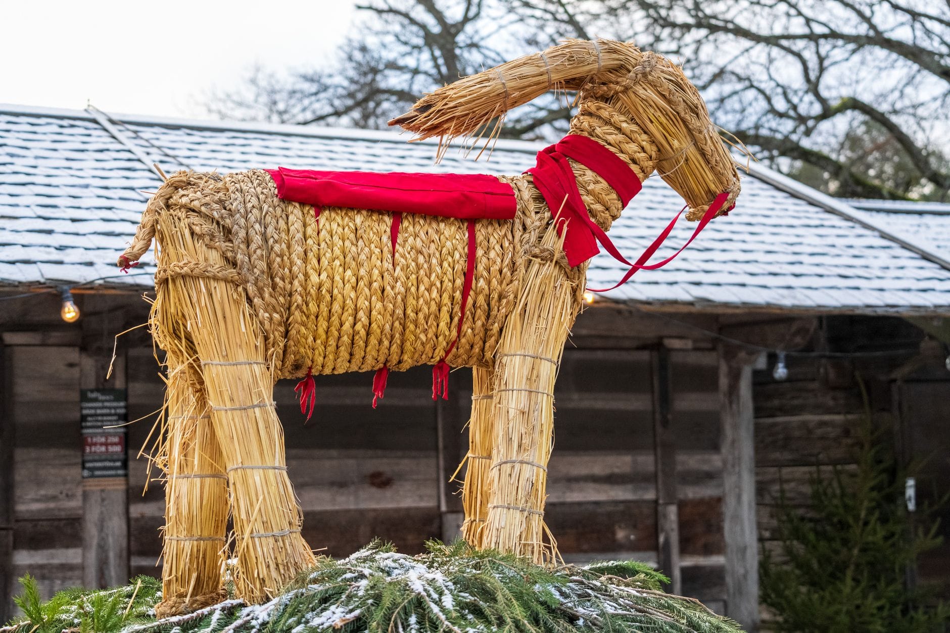 Szwedzka słomiana koziołek julbock jako symbol bożonarodzeniowej tradycji