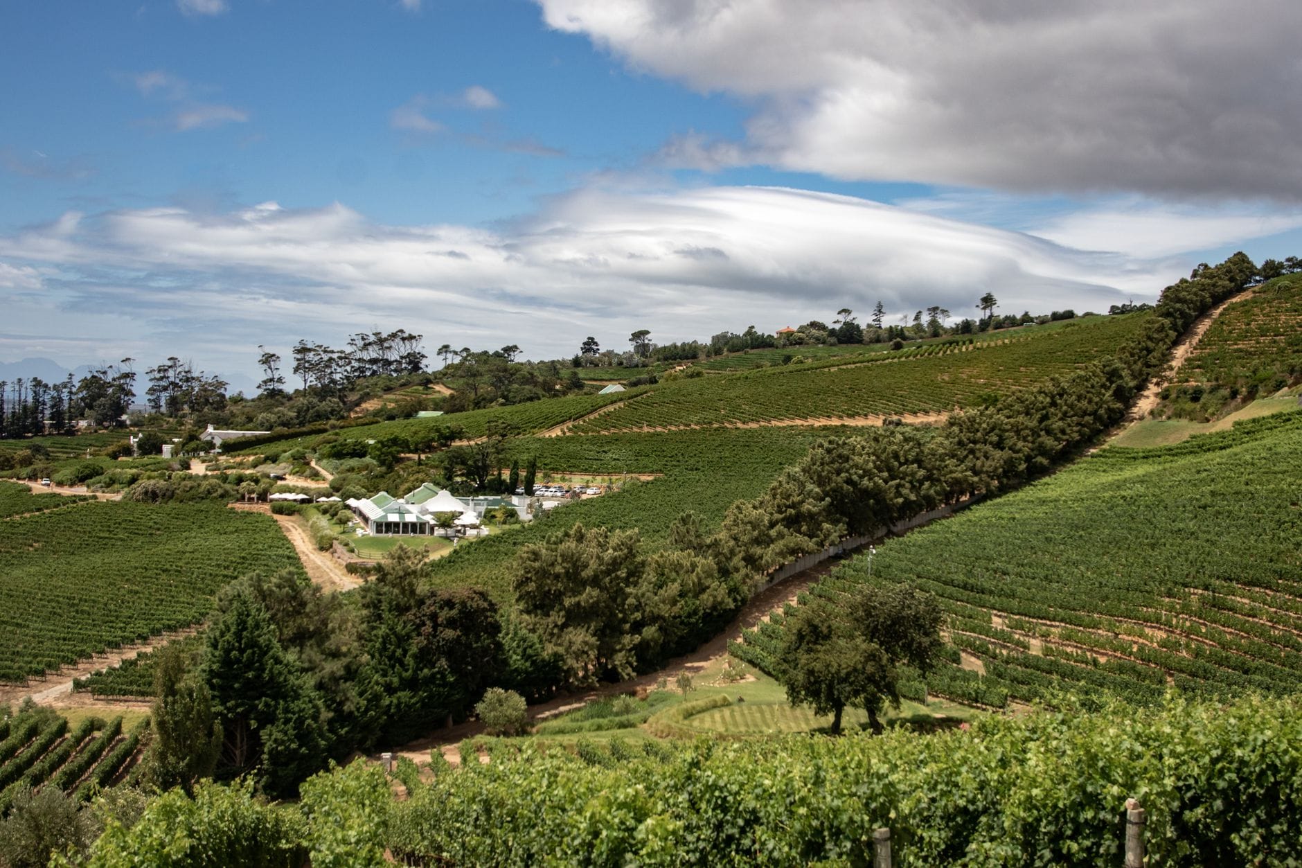 Winnice pod kolorowym niebem w okolicach Stellenbosch w RPA